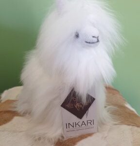 Alpaca Suri