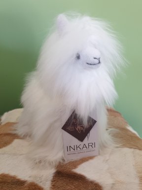 Alpaca Suri