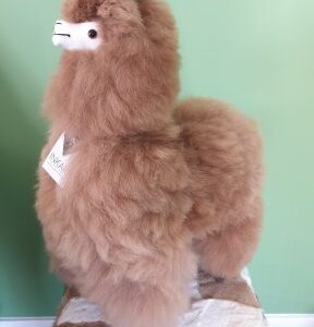Alpaca large 2