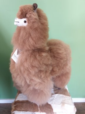 Alpaca large 2