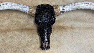 Gepolijste Longhorn zwart