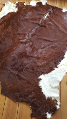 Hereford koeienhuid Terschellinger
