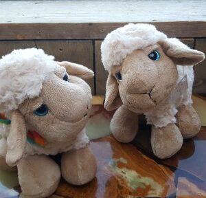 Schaap knuffel lazy eyes