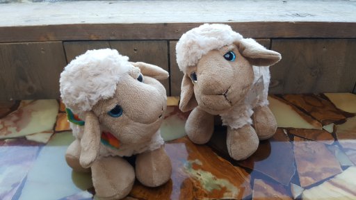 Schaap knuffel lazy eyes